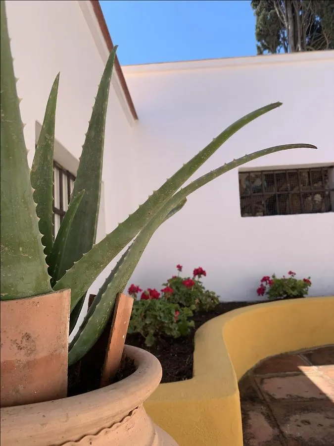 טורמולינוס Encantador Apartamento-Centrico-Con Amplio Jardin ספרד